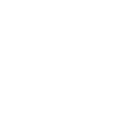 RPE Logo